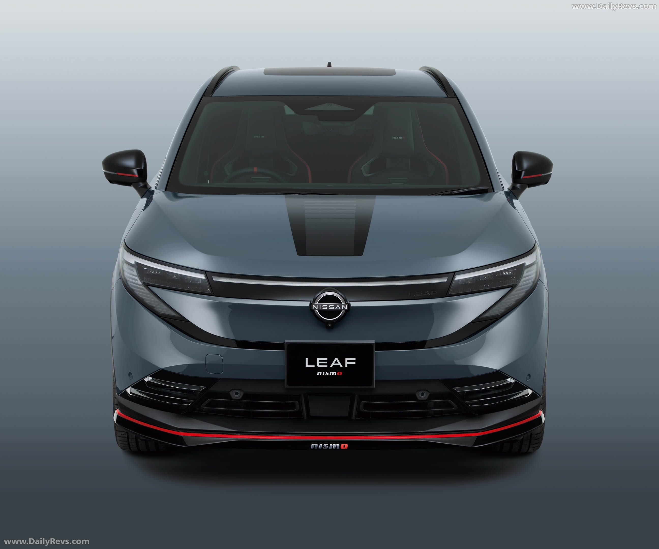 Image of Leaf Nismo